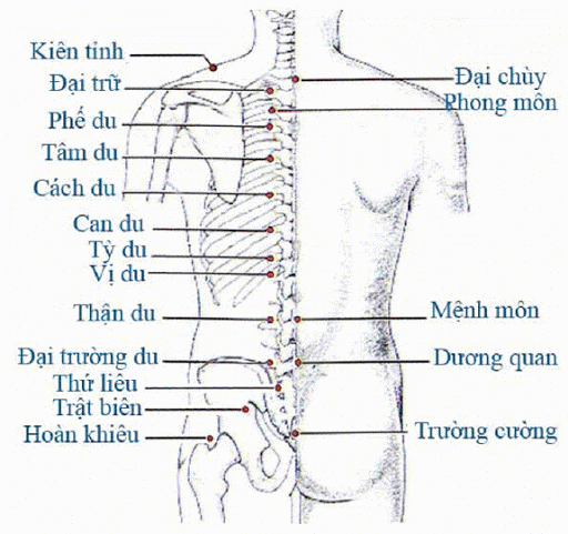 Odoo • Văn bản và hình ảnh